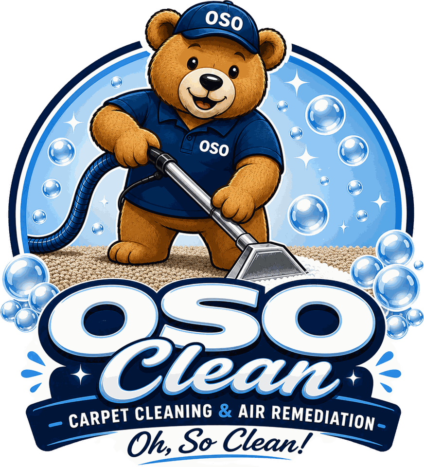 OSO Clean — Carpet Cleaning & Air Reset. Oh, So Clean!
